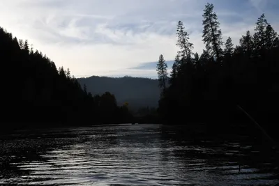 DSC_0300 (Large).JPG